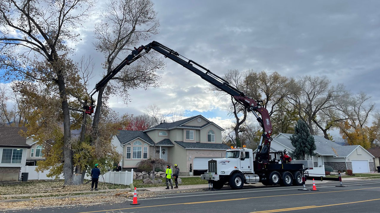 Salt Lake City Tree Service, Doug's Tree